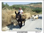 SIcilia Antica