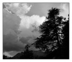Disordine Disordine