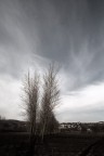 FILARE DI PIOPPI FILARE DI PIOPPI