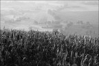 paesaggio paesaggio