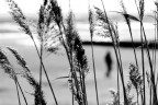 spiaggia spiaggia