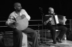 musici musici