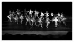 danza danza