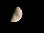 Luna.. Luna..