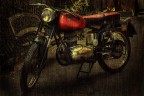 Gilera Sport 150 1955 Gilera Sport 150 1955