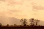 Padule di Fucecchio Padule di Fucecchio
