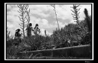 Messico009 Messico009