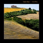 Val d'Orcia - Luglio 2008
