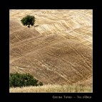 Val d'Orcia - Luglio 2008