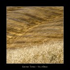 Val d'Orcia - Luglio 2008