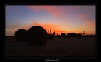 Campagna al tramonto Campagna al tramonto