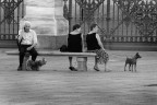 immagini di citta' immagini di citta'