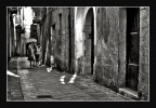 ...la compagnia... ...la compagnia...