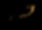 From the dark... From the dark...