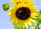 Pranzo riservato ai soli soci Pranzo riservato ai soli soci