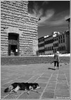 Bagno di sole o abbandono? Bagno di sole o abbandono?