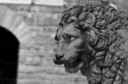 Gita a Firenze Gita a Firenze