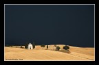 ARRIVA IL TEMPORALE ARRIVA IL TEMPORALE