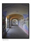 Viale dell'Amore Solitario.. Viale dell'Amore Solitario..