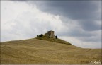 Colline toscane
Canon EOS 400D + 18-55 II
ISO 100 - F/8 - 1/320