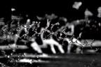 Giochi d'acqua