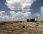campagna fianese campagna fianese