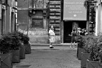 il/la fiammingo/a il/la fiammingo/a