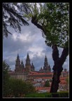 Tra Gli Alberi Tra Gli Alberi