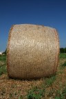 di fronte a certe balle... di fronte a certe balle...