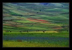 Pennellate di colore Pennellate di colore