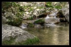 Ruscello Ruscello