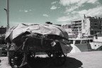 Mai mettere il carro davanti ai buoi, ma se non ci sono più Mai mettere il carro davanti ai buoi, ma se non ci sono più