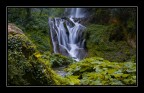 Villa Gregoriana - Falls Villa Gregoriana - Falls