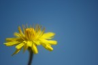 Verso il cielo Verso il cielo