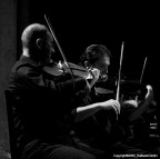Violinisti In Concerto