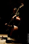 Violoncello Violoncello