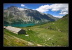 Stalla alpina Stalla alpina