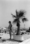 Al mare Al mare