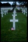 In Memoriam In Memoriam