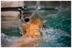 *splash* *splash*