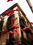 Gli asini non voleranno.....ma i delfini..... Gli asini non voleranno.....ma i delfini.....