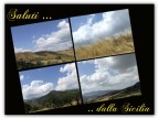 cartolina cartolina
