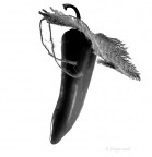 Nel mondo attuale, dove le differenze sono  sempre pi� impalpabili, � facile interpretare male degli atteggiamenti che possono essere facilmente equivocati. Credere di essere qualcuno che conta solo perch� gli �altri� lo vogliono. Bastasse un qualifica, un titolo o qualche carica per diventare qualcuno sarebbe facile vivere, ma il difficile � �essere� veramente speciali. 
Bastasse un mantello per diventare un supereroe!!!