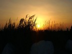 tramonto di romagna tramonto di romagna