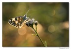 sberluccicosa....... sberluccicosa.......