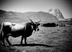 Campo Imperatore Campo Imperatore