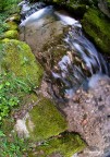 L'acqua scorre L'acqua scorre