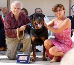 Primo premio "Fedelt� del cane 2008" a Rocky che ha salvato la vita al suo padrone.
Seggerimenti e critiche sempre bene accetti.