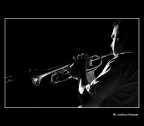 Ron Horton - black on white Ron Horton - black on white
