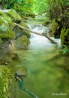 Acqua Acqua